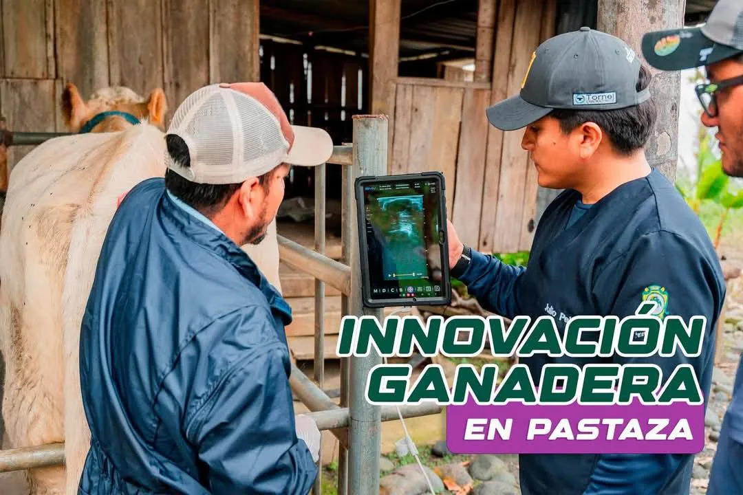 Lee más sobre el artículo INNOVACIÓN GANADERA EN PASTAZA.