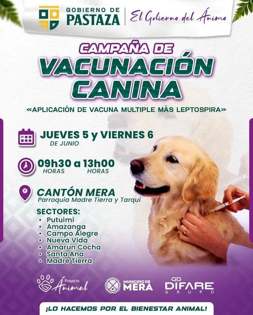 Lee más sobre el artículo ¡Seguimos con buenas noticias en Mera!