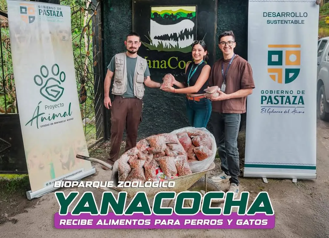 Lee más sobre el artículo El Proyecto Ánimal sigue en marcha en la provincia de Pastaza.