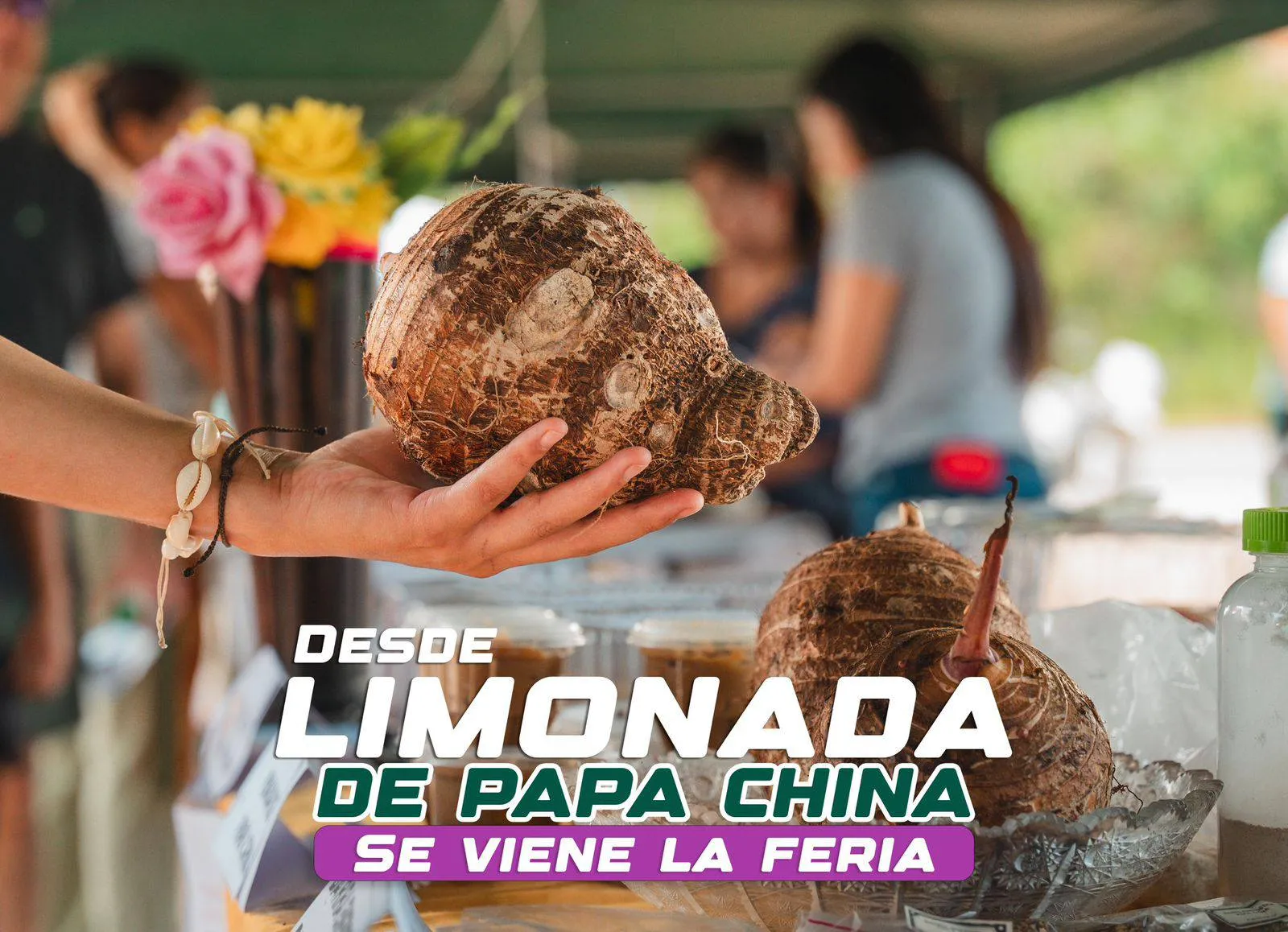 Lee más sobre el artículo Se viene la II Feria Nacional de la Papa China!
