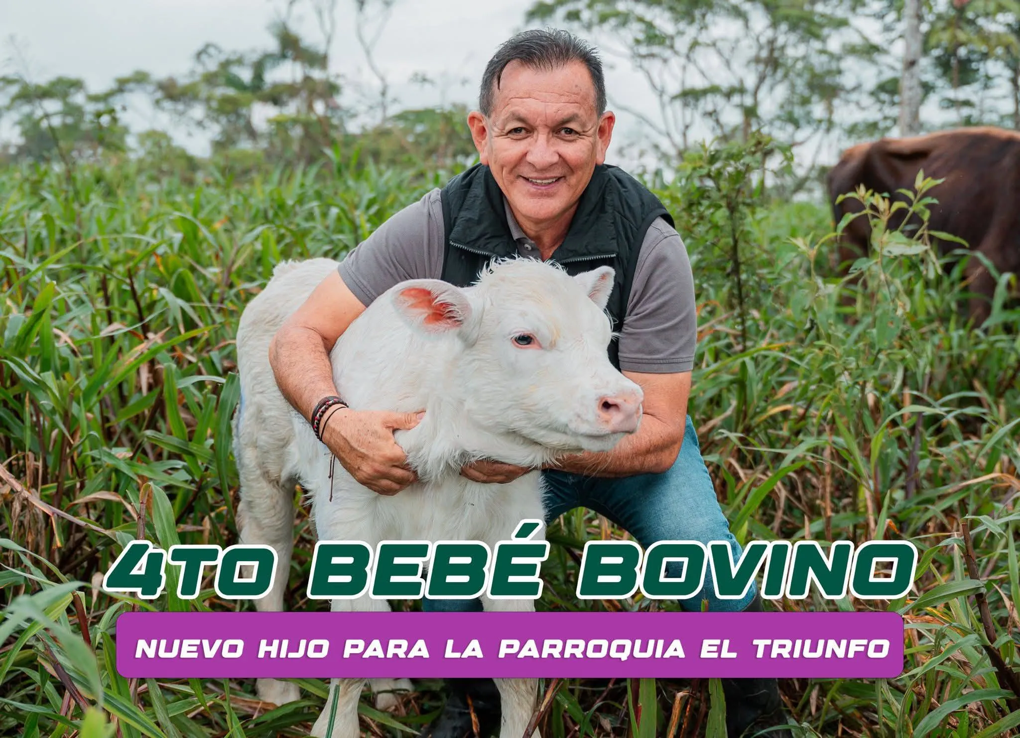 Lee más sobre el artículo ¡Buenas noticias desde el campo.